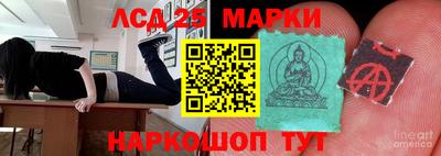 гидропоника Шебекино