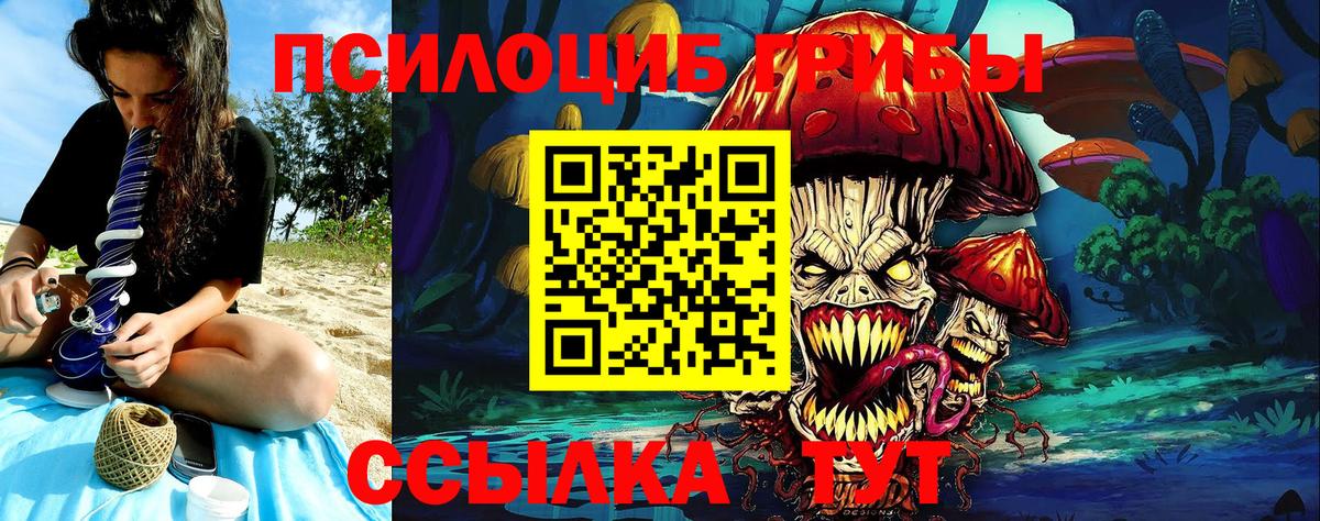 Галлюциногенные грибы GOLDEN TEACHER  Псилоцибиновые грибы Psilocybe  Вход с VPN  Назрань 